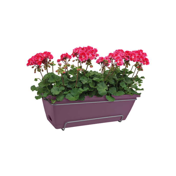 barcelona allin1 50cm porpora acero